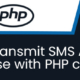 Transmit SMS API use with PHP cURL