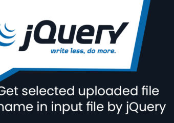 Get selected uploaded file name in input file by jQuery without fake path